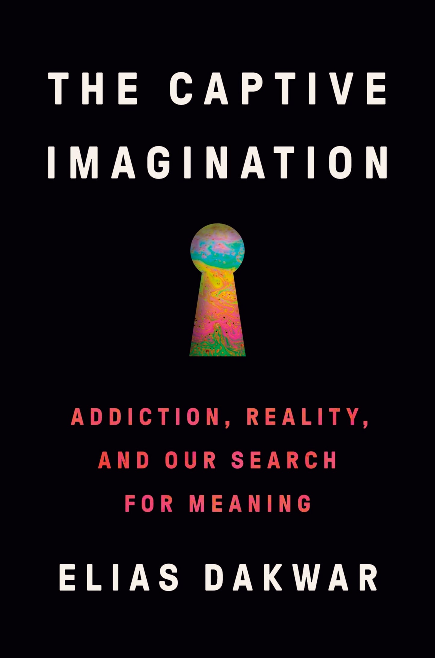 Captive Imagination: Addiction, Reality, and Our Search for Meaning book cover