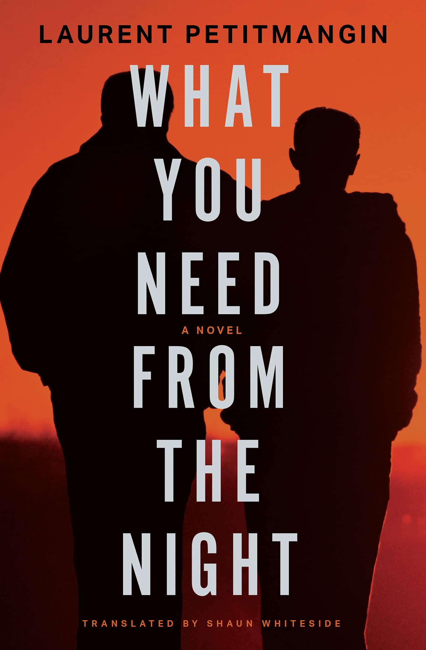 What You Need from the Night book cover