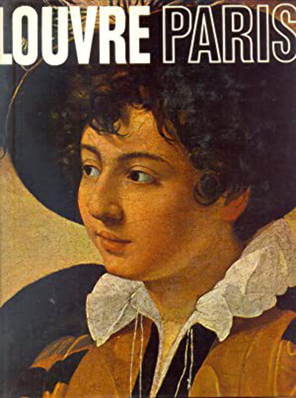 Louvre Paris (Great Museums of the World Series) book cover