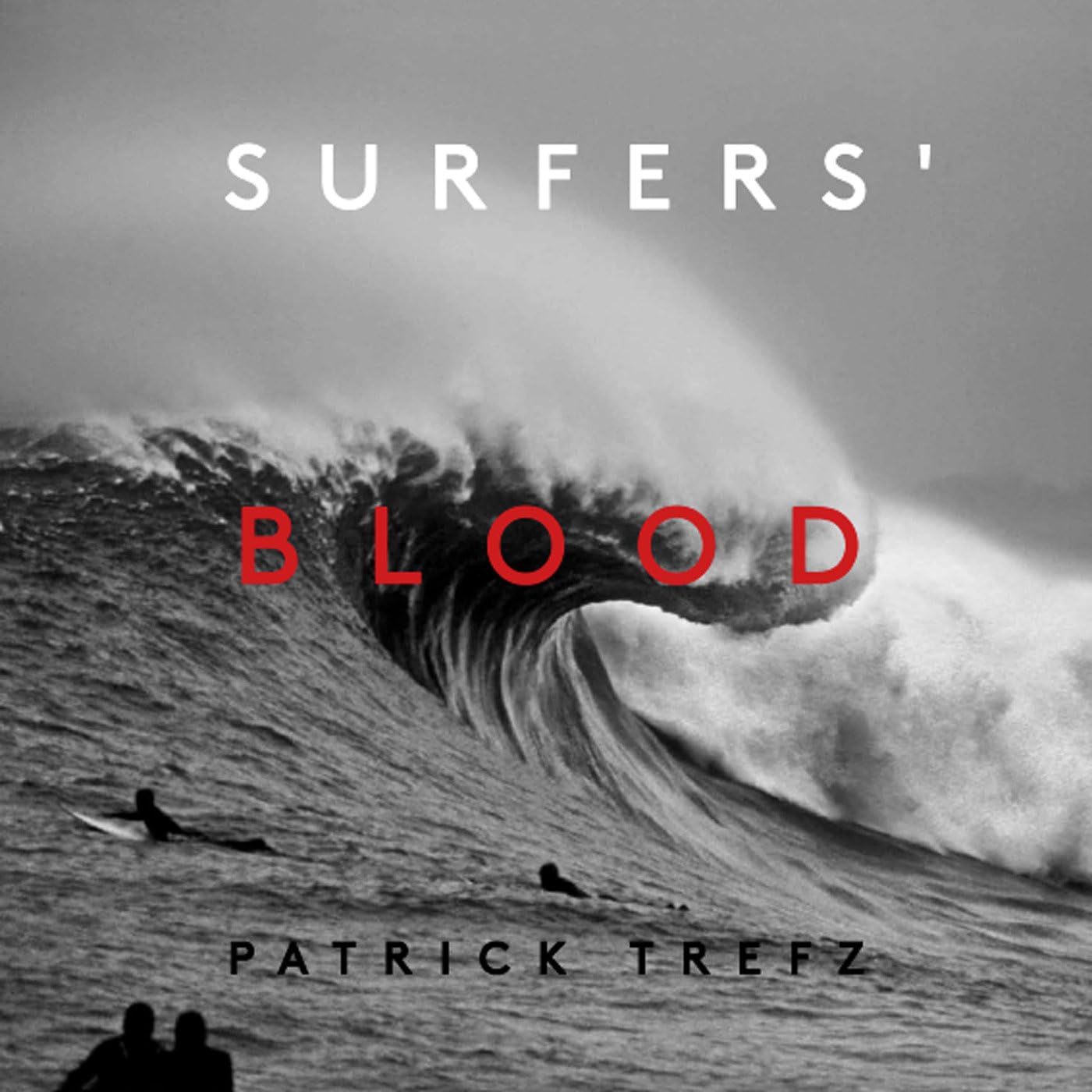 Surfers' Blood book cover