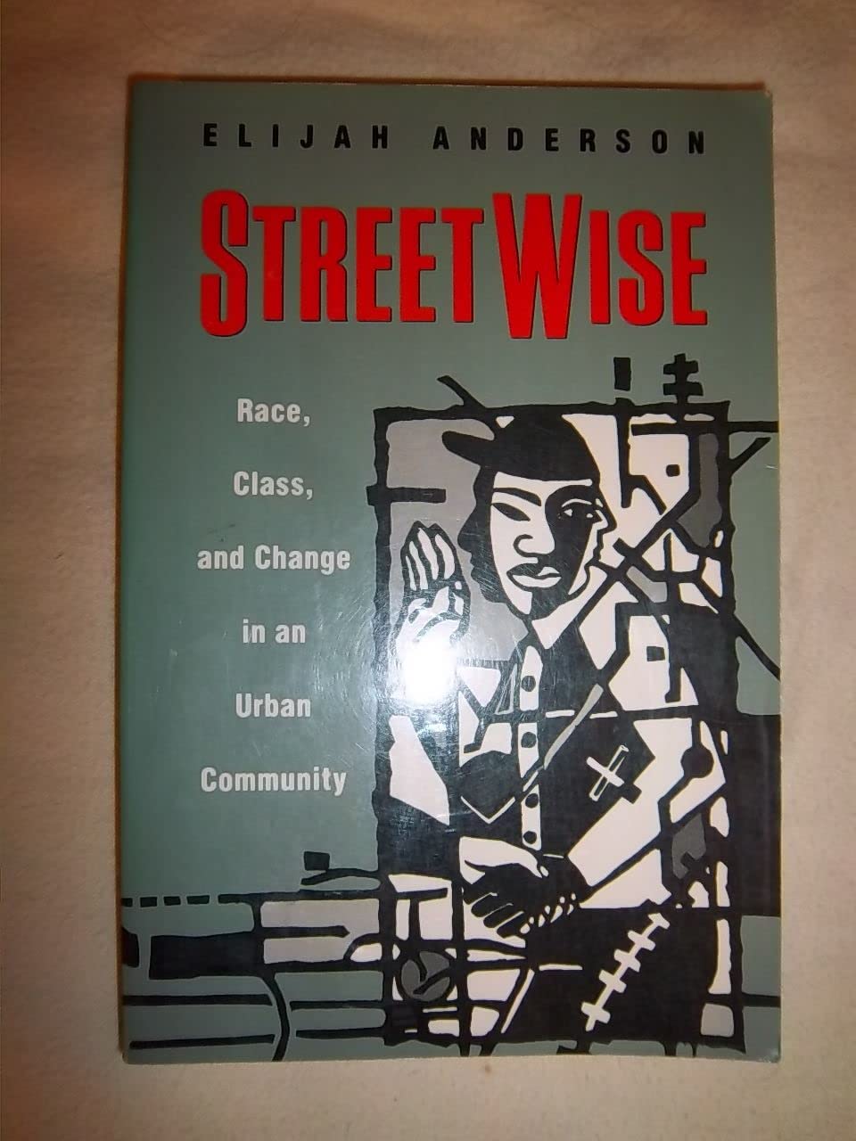 Streetwise: Race, Class, and Change in an Urban Community book cover