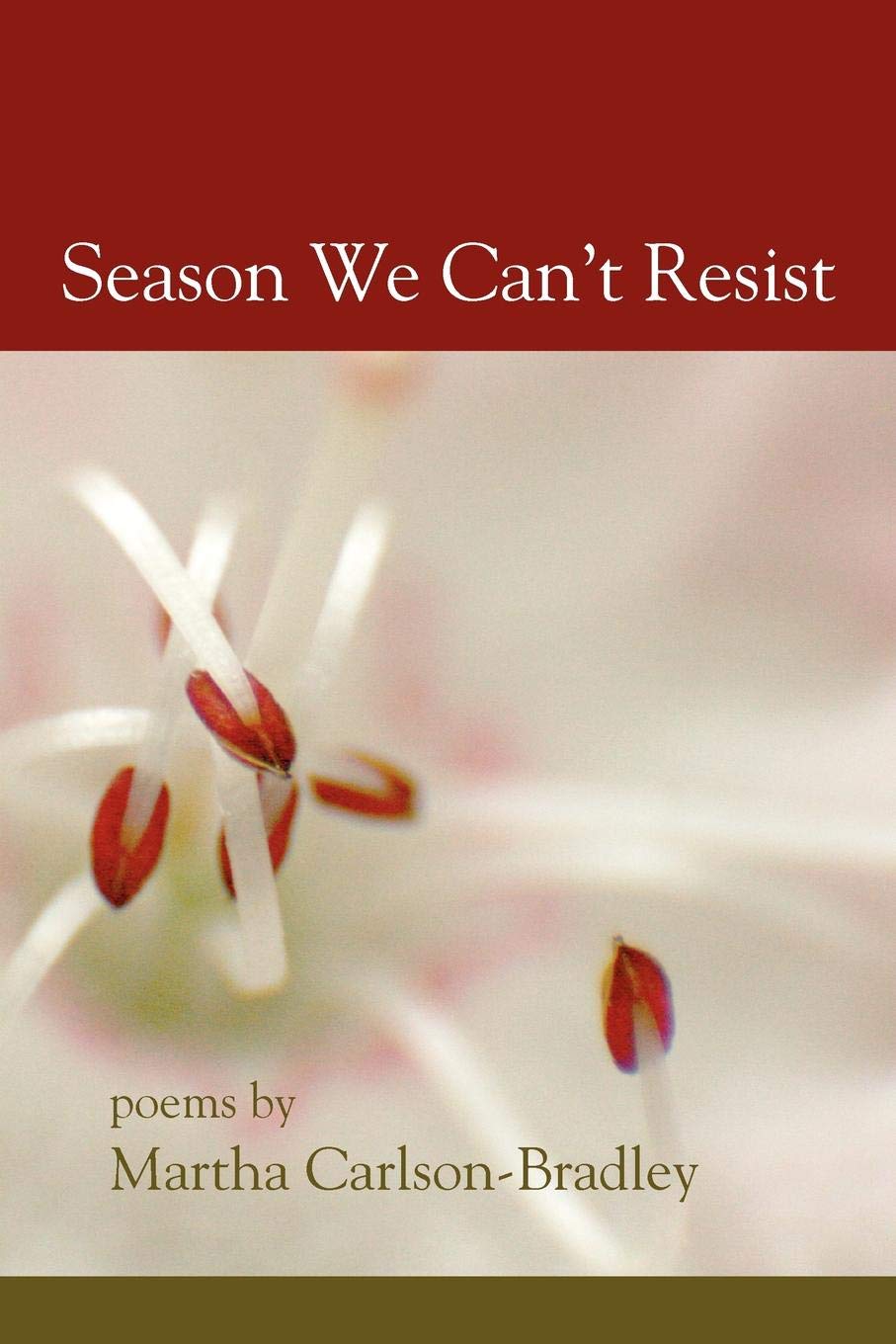 Season We Can't Resist book cover