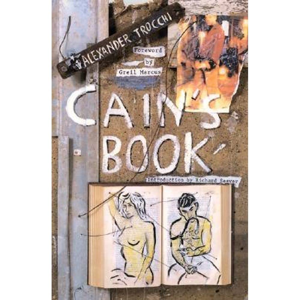 Cain's Book book cover