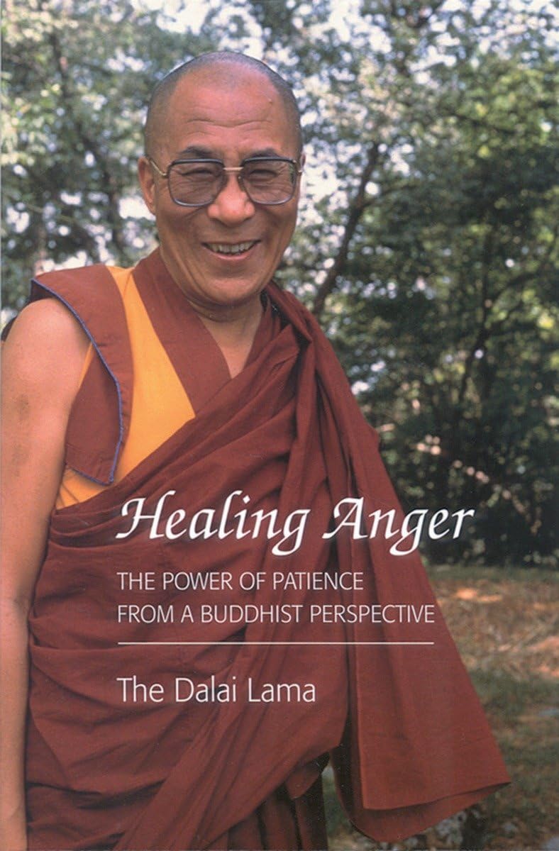 Healing Anger: The Power of Patience from a Buddhist Perspective book cover