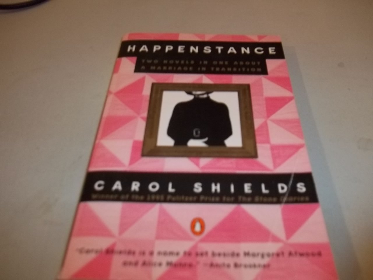 Happenstance: Two Novels in One about a Marriage in Transition book cover