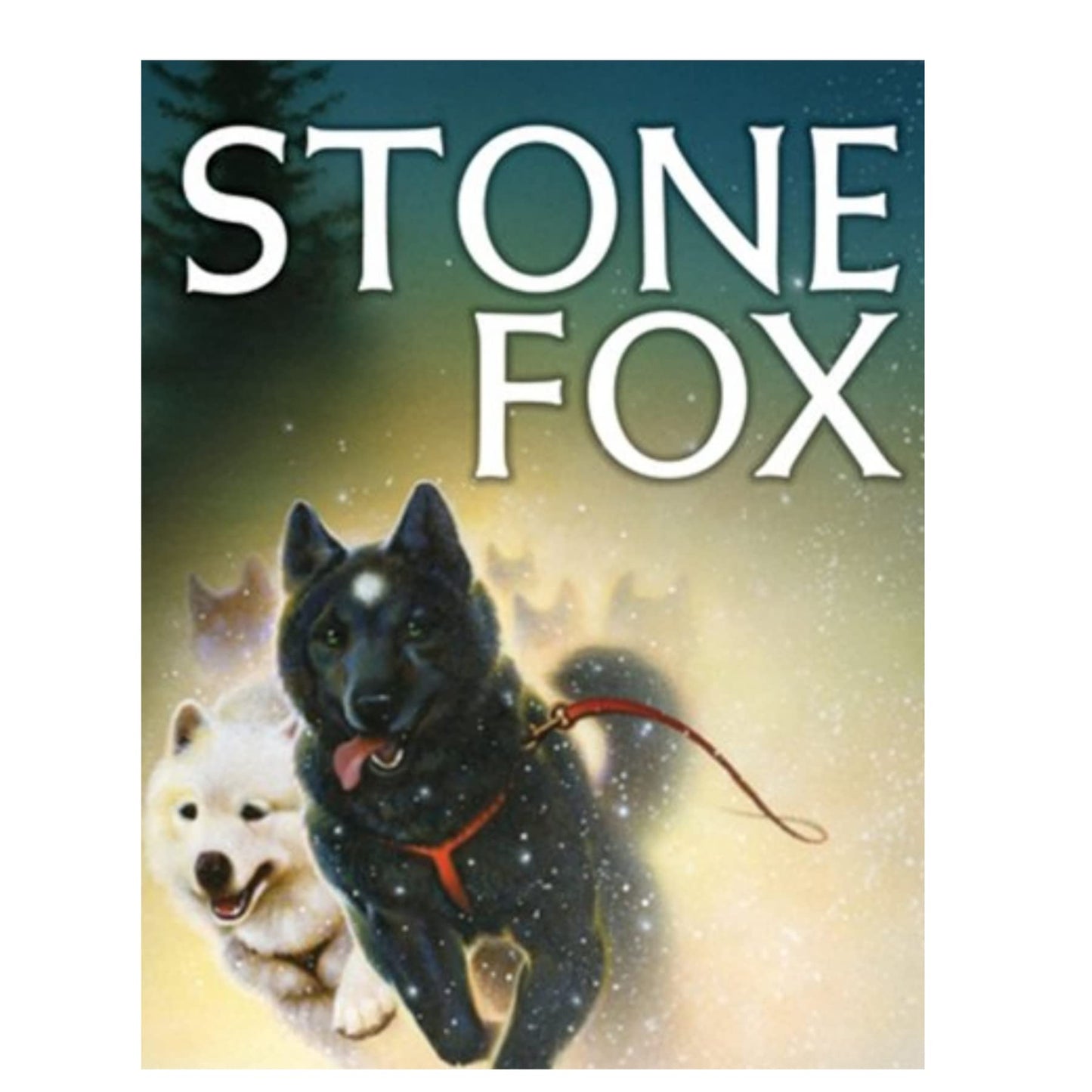 Stone Fox book cover