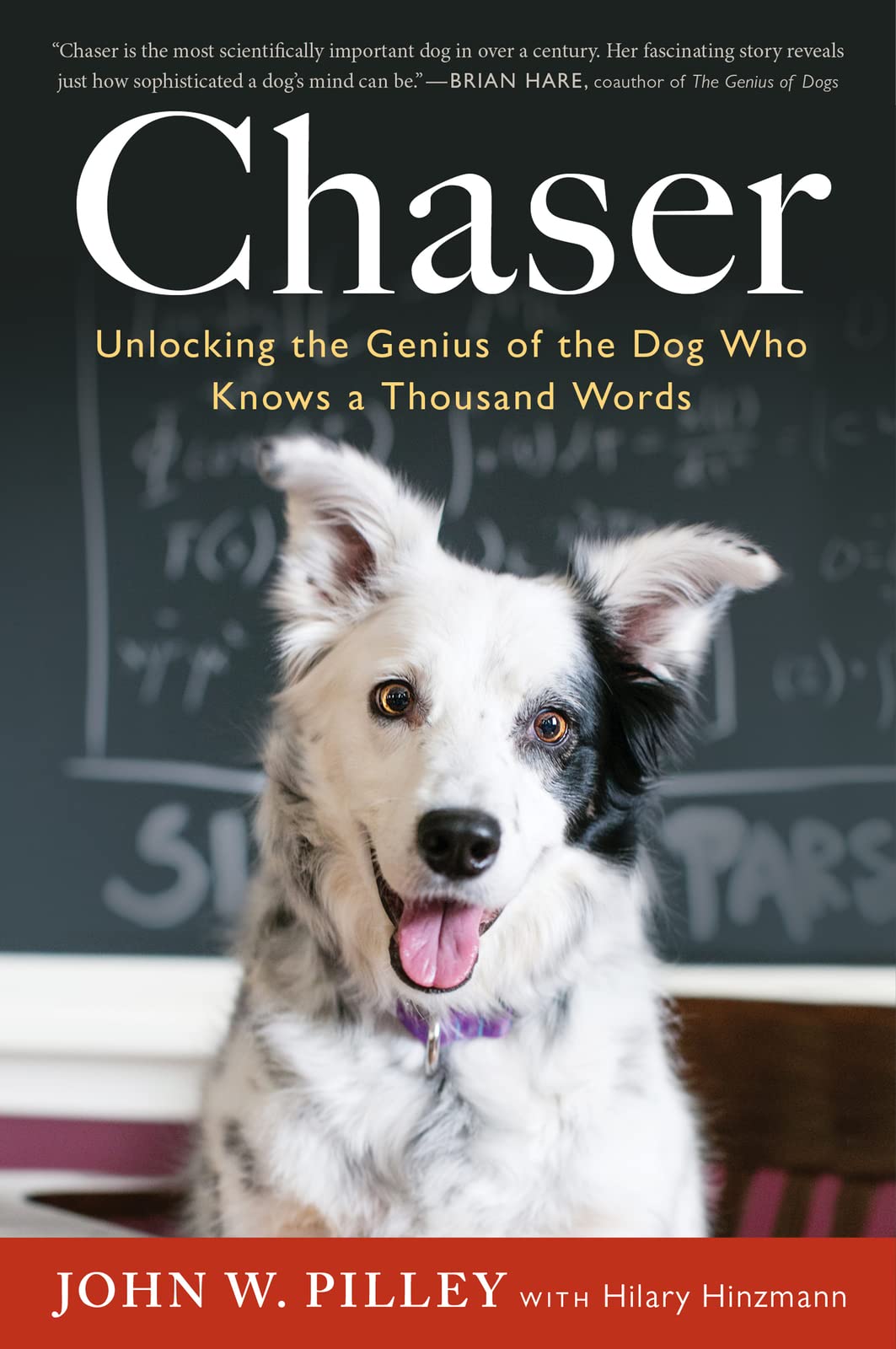 Chaser: Unlocking the Genius of the Dog Who Knows a Thousand Words book cover