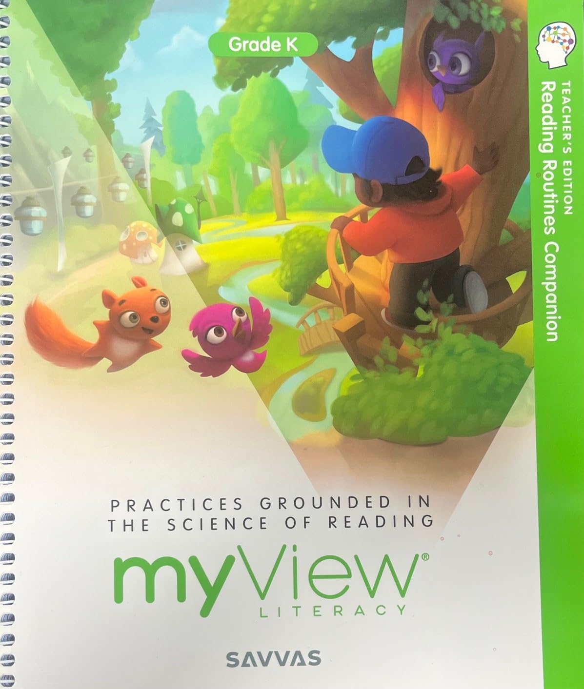 myView Literacy: Reading Routines Companion, Grade K Teacher's Edition, c. 2023, 9781428553682, 1428553681
