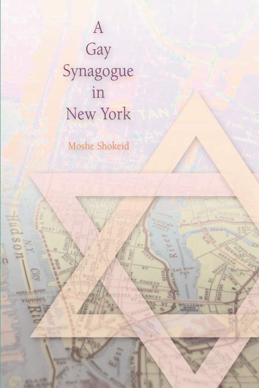 Gay Synagogue in New York book cover