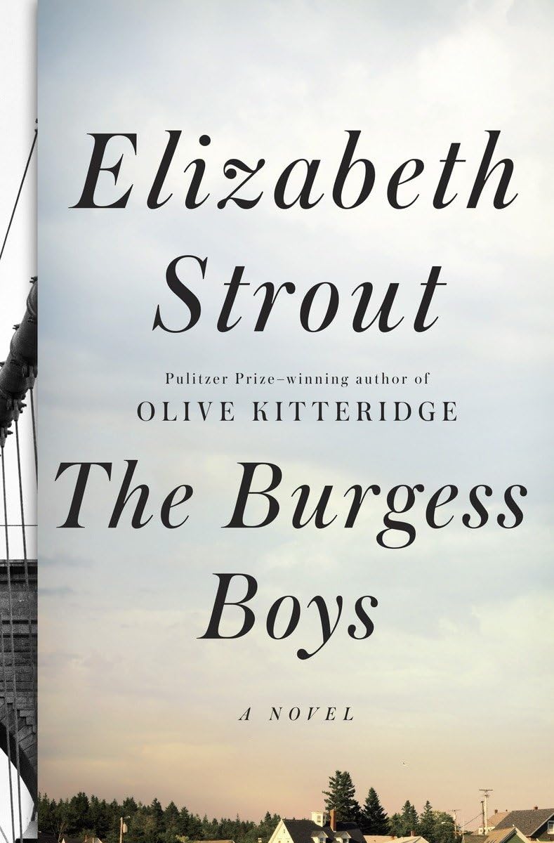 Burgess Boys book cover