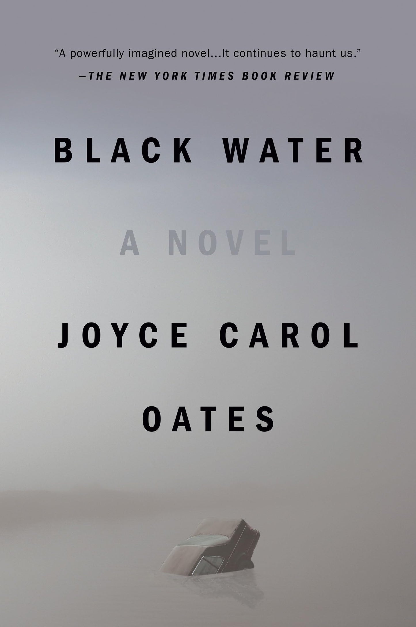 Black Water book cover