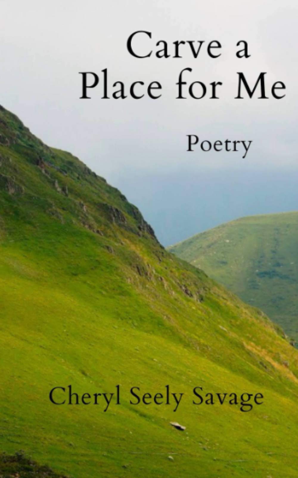 Carve a Place for Me book cover