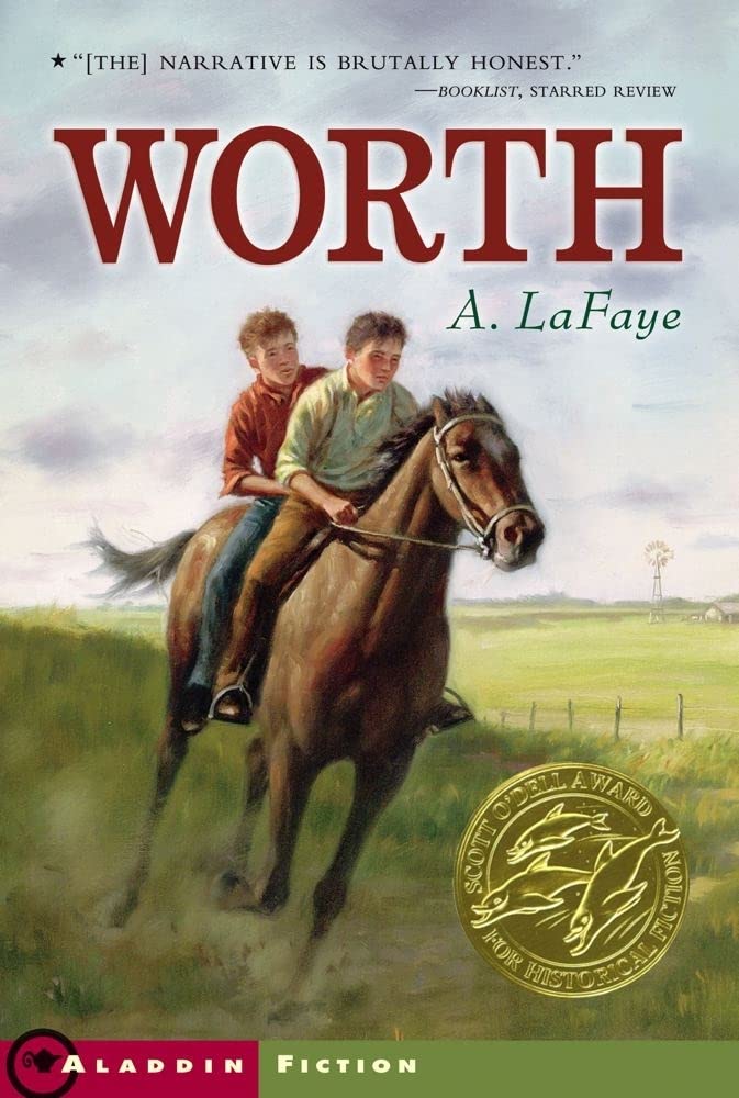 Worth book cover