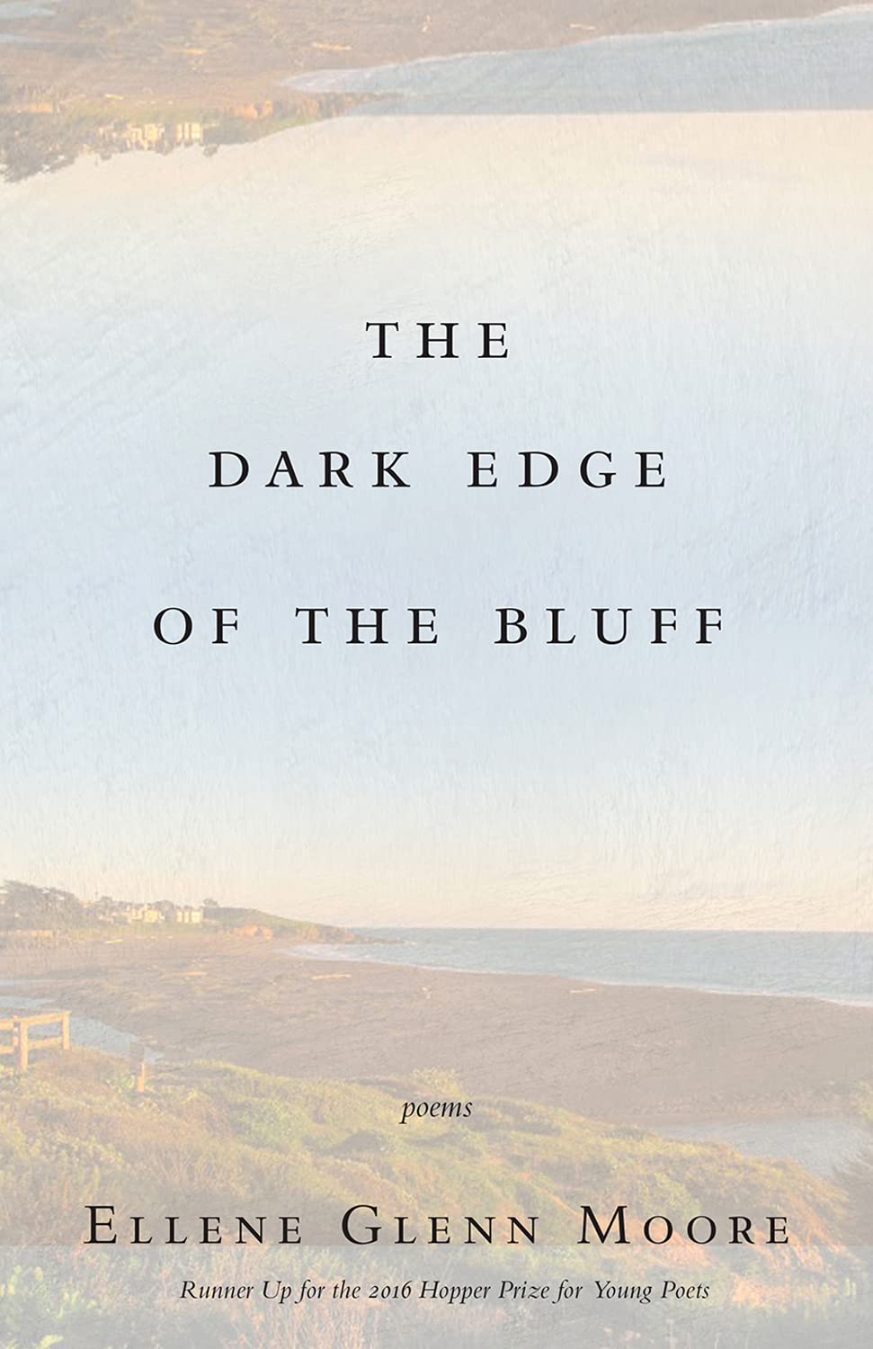 Dark Edge of the Bluff book cover