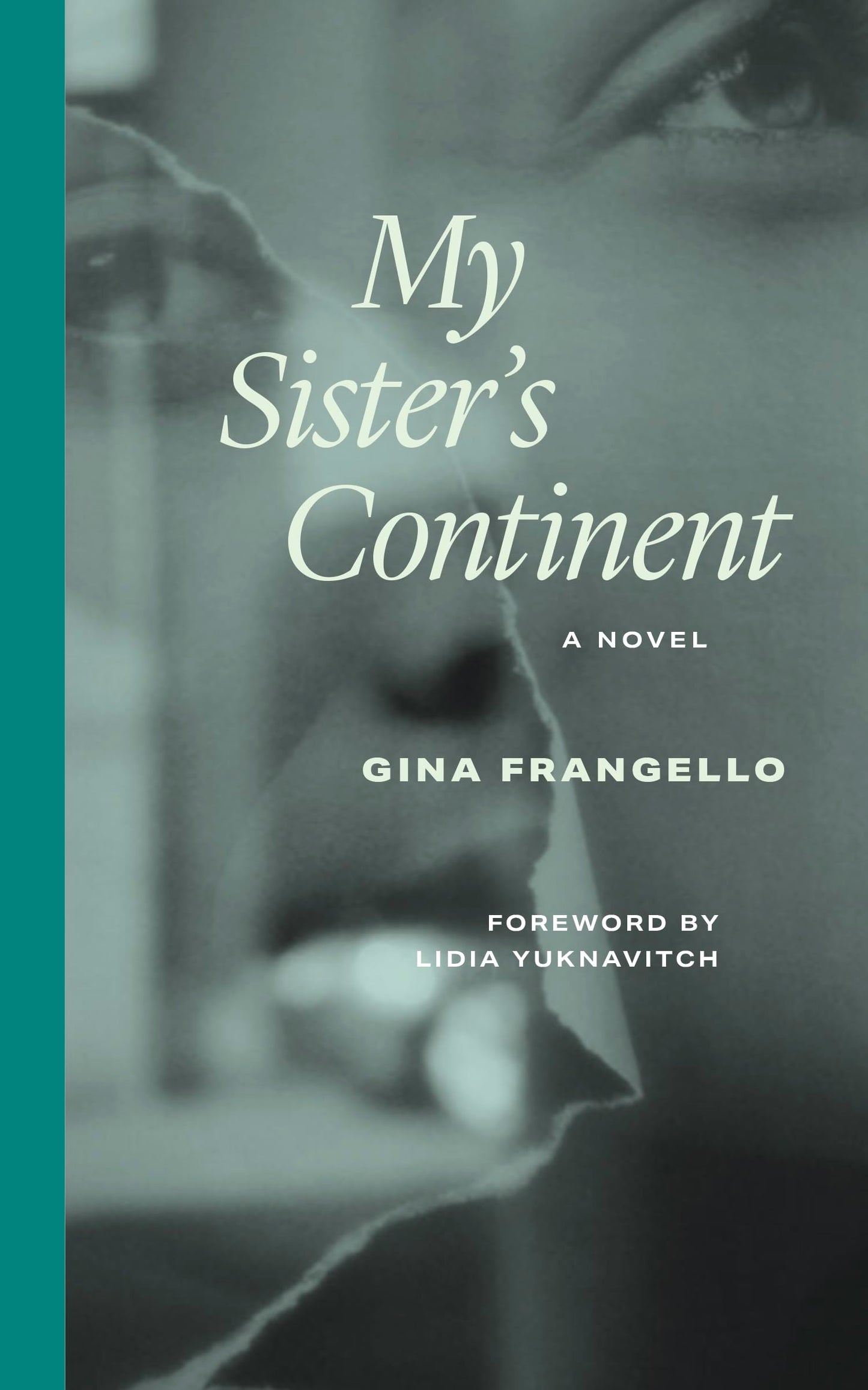 My Sister's Continent book cover