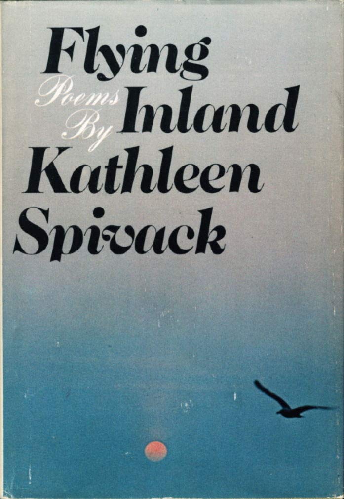 Flying inland book cover