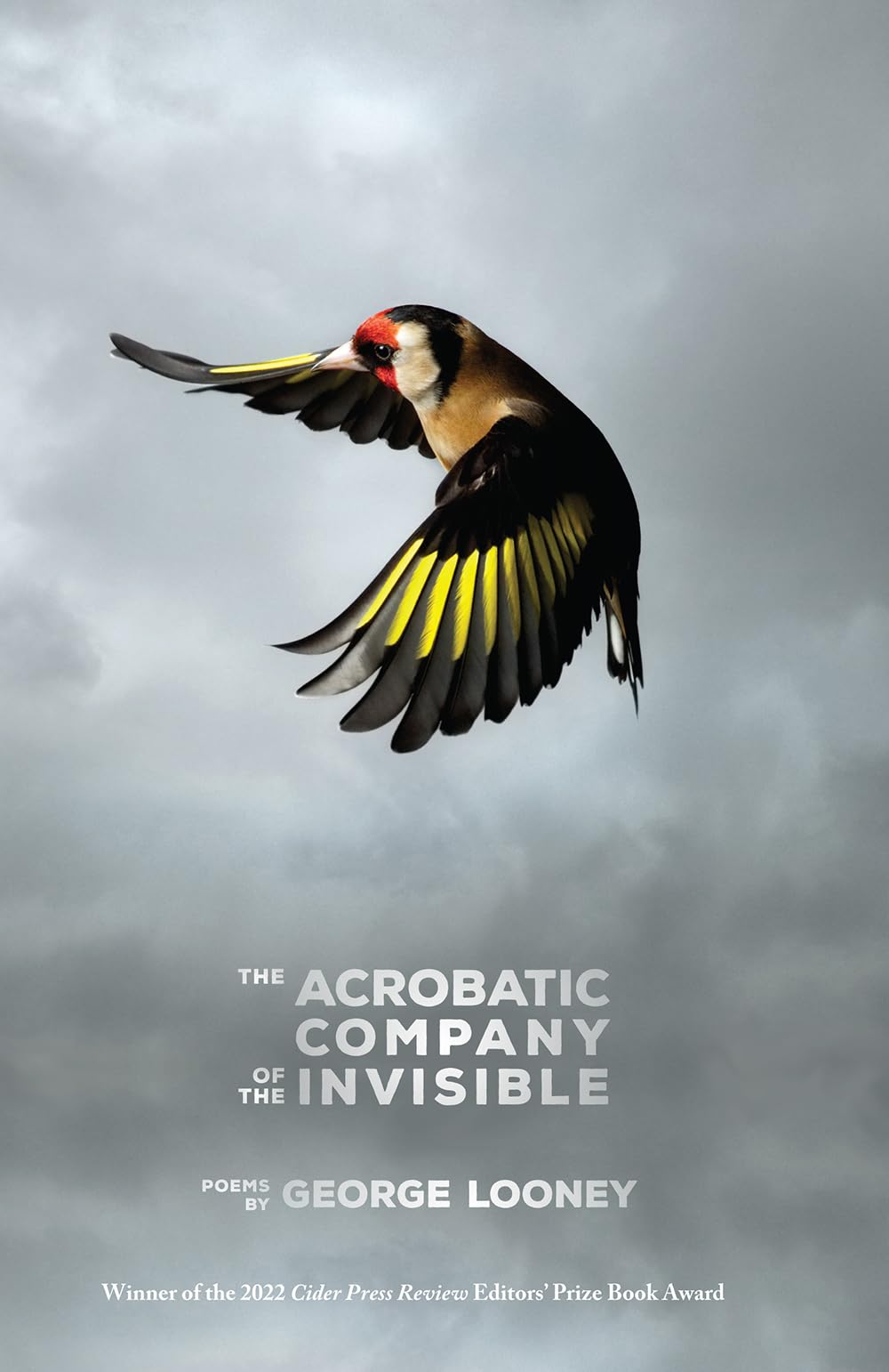 Acrobatic Company of the Invisible book cover