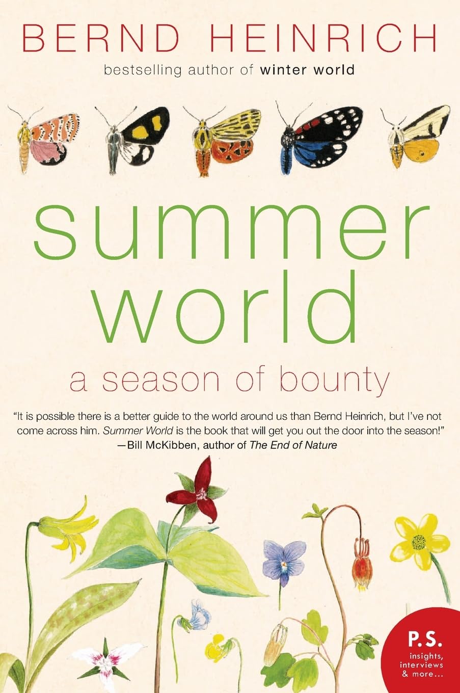 Summer World book cover