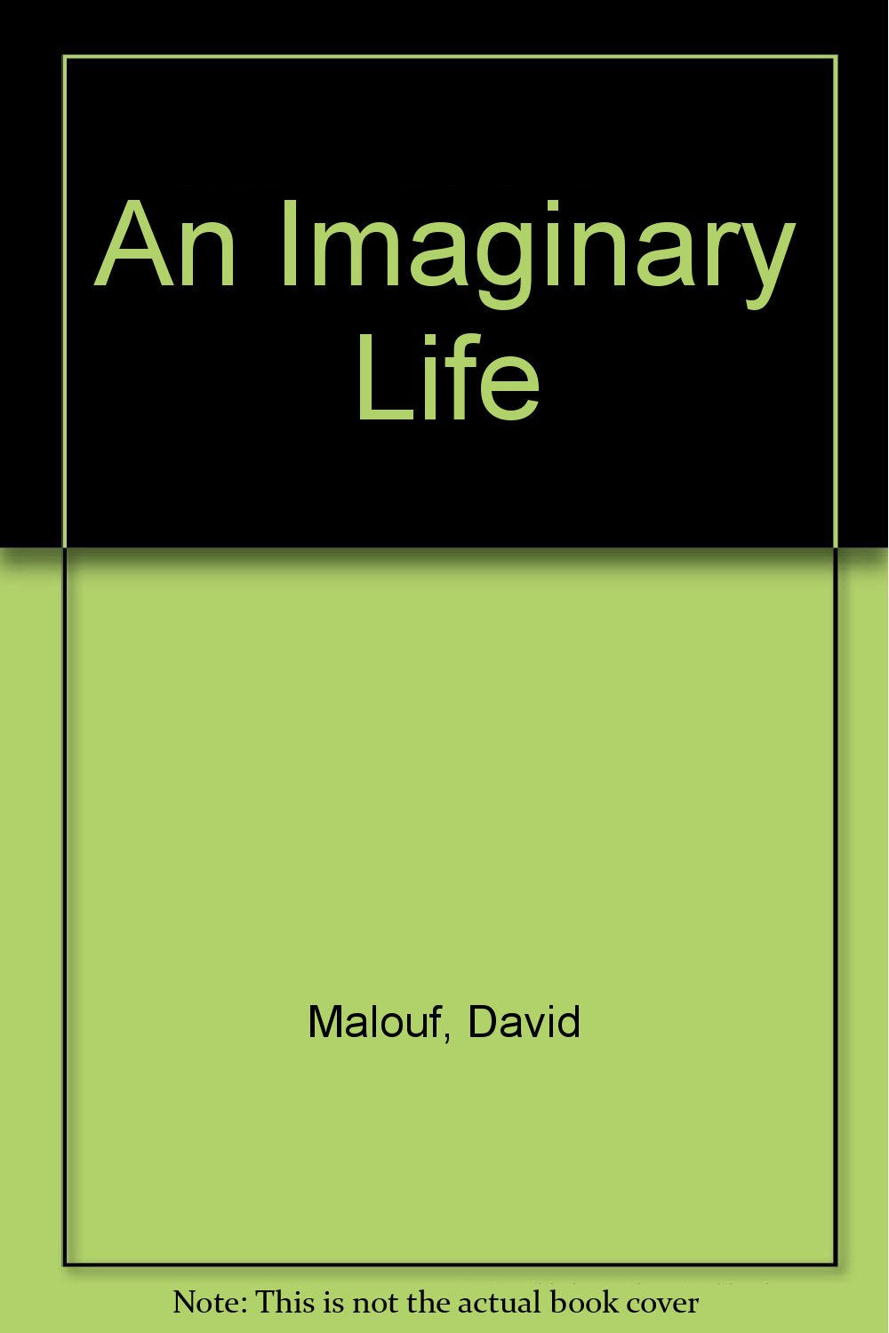 Imaginary Life book cover