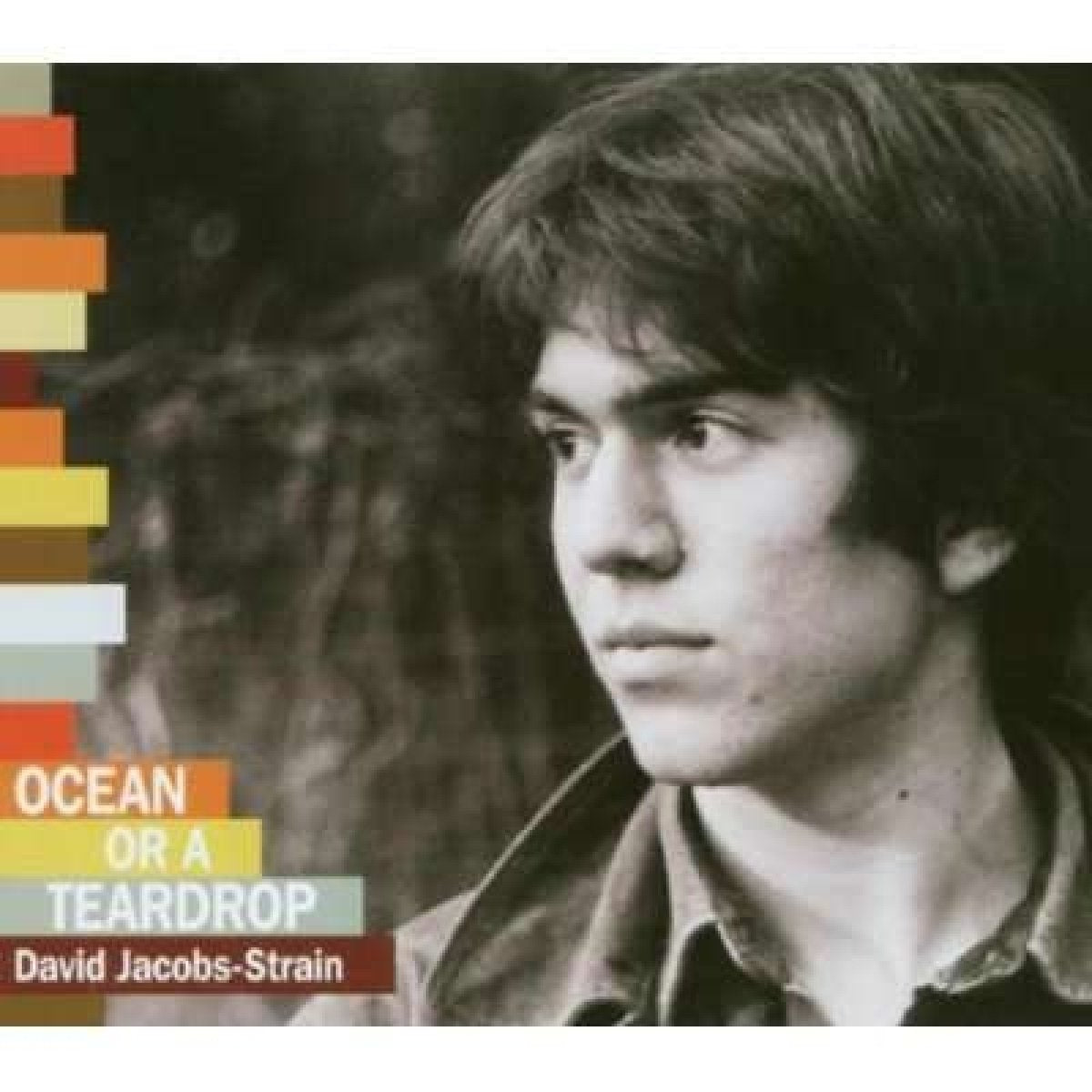 Ocean or a Teardrop book cover