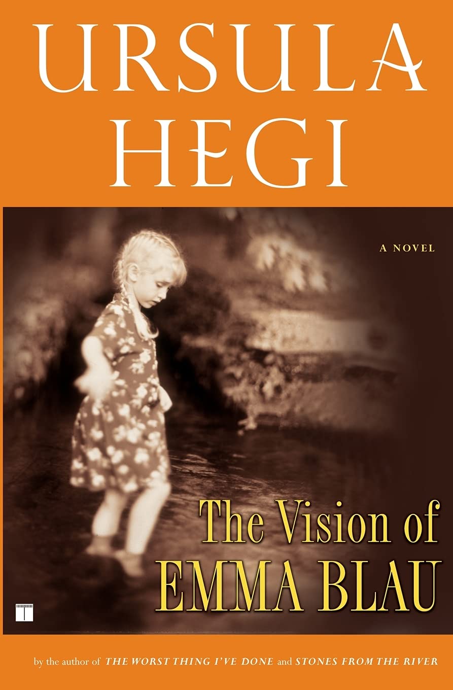 Vision of Emma Blau book cover