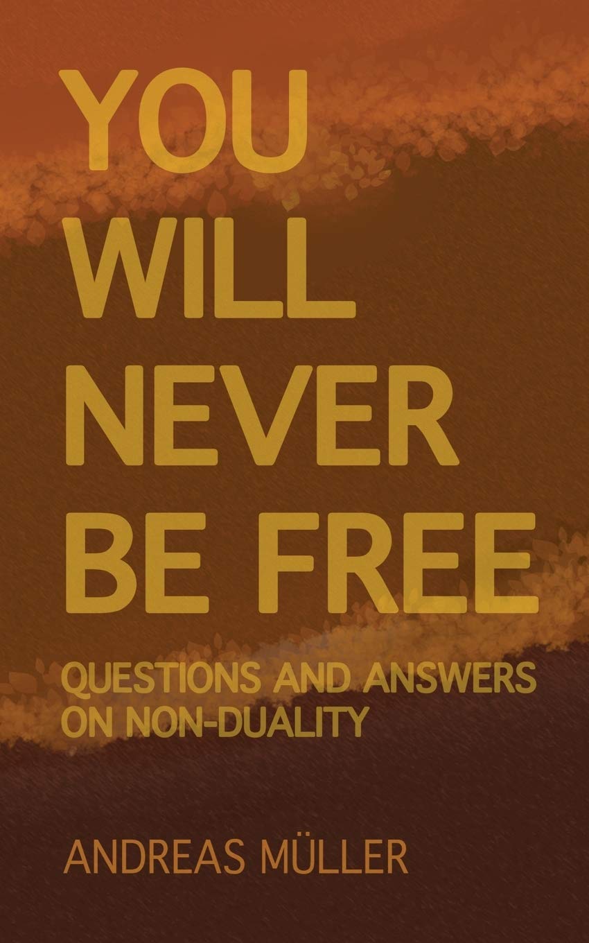 You will never be free: questions and answers on non-duality book cover
