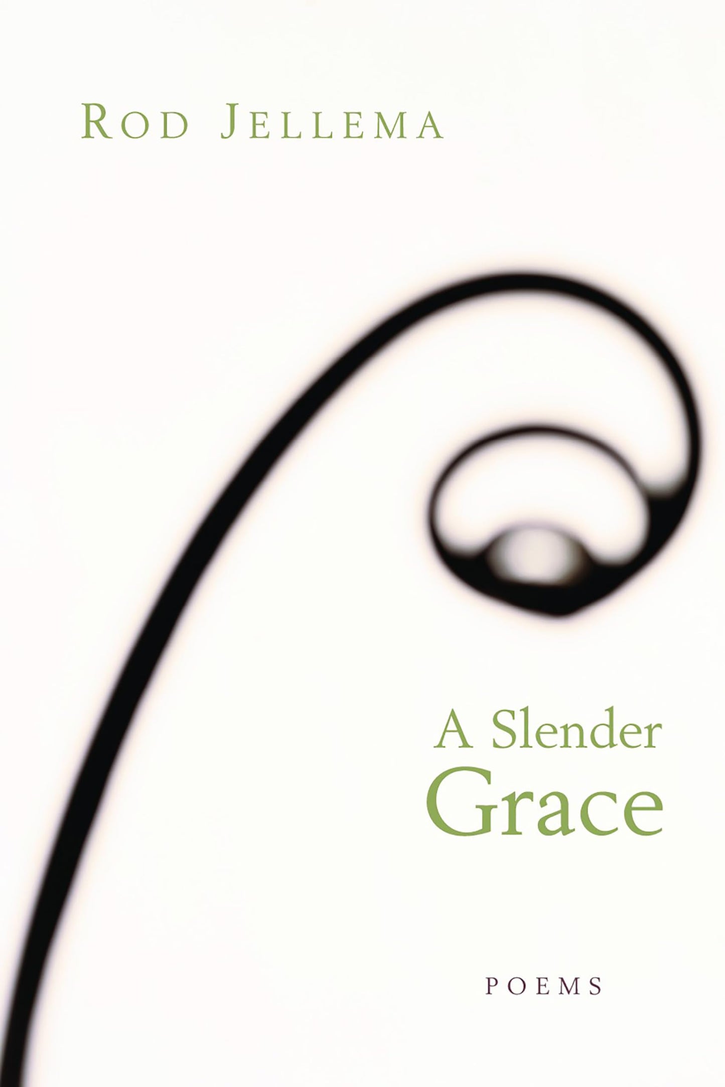 Slender Grace: Poems book cover