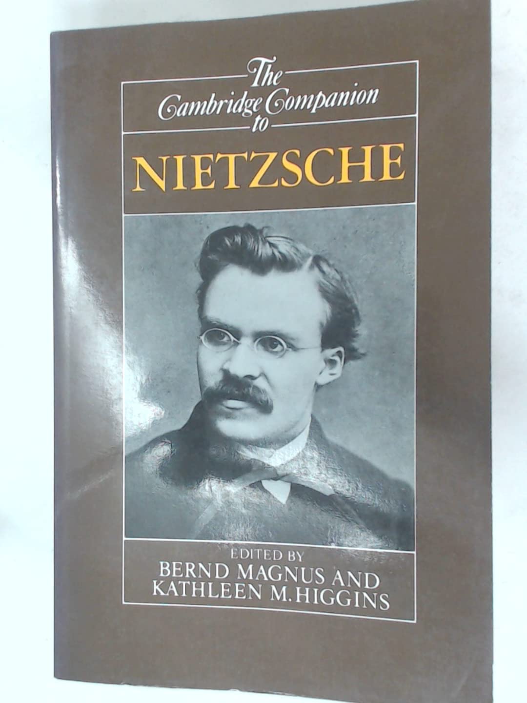 Cambridge Companion to Nietzsche