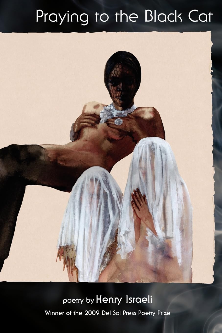 Praying To The Black Cat book cover