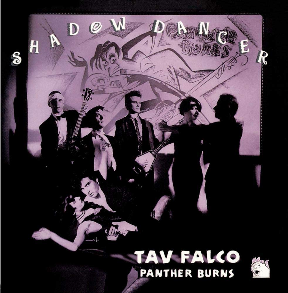 Shadow Dancer book cover