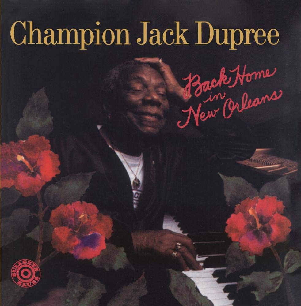 Back Home in New Orleans book cover