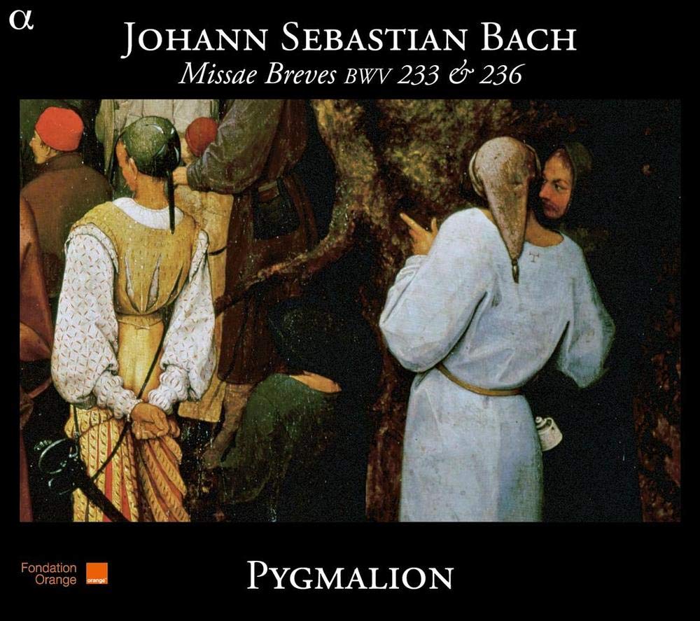 Missae Breves Bwv 233 & 236 book cover
