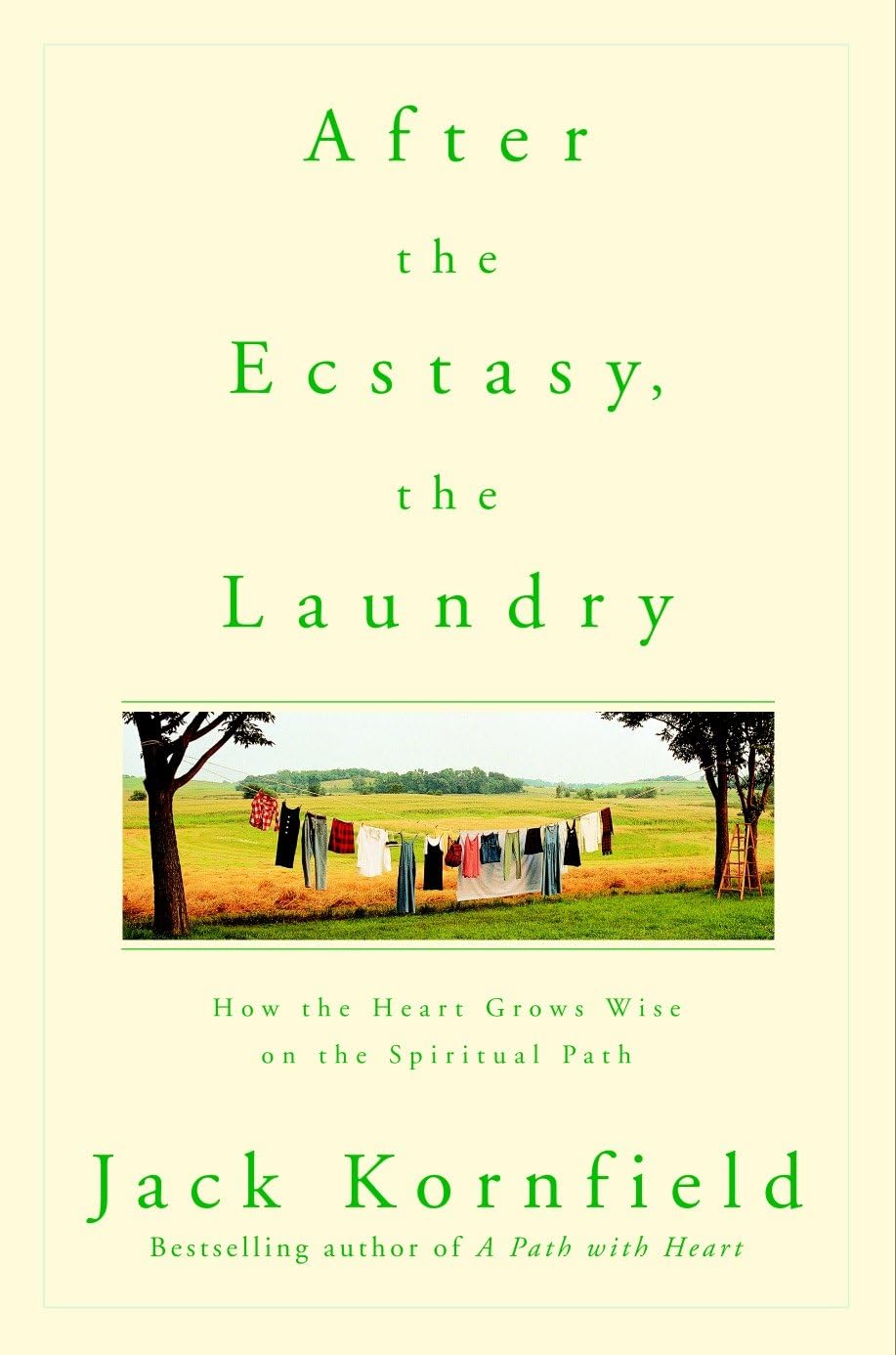 After the Ecstasy, the Laundry: How the Heart Grows Wise on the Spiritual Path book cover