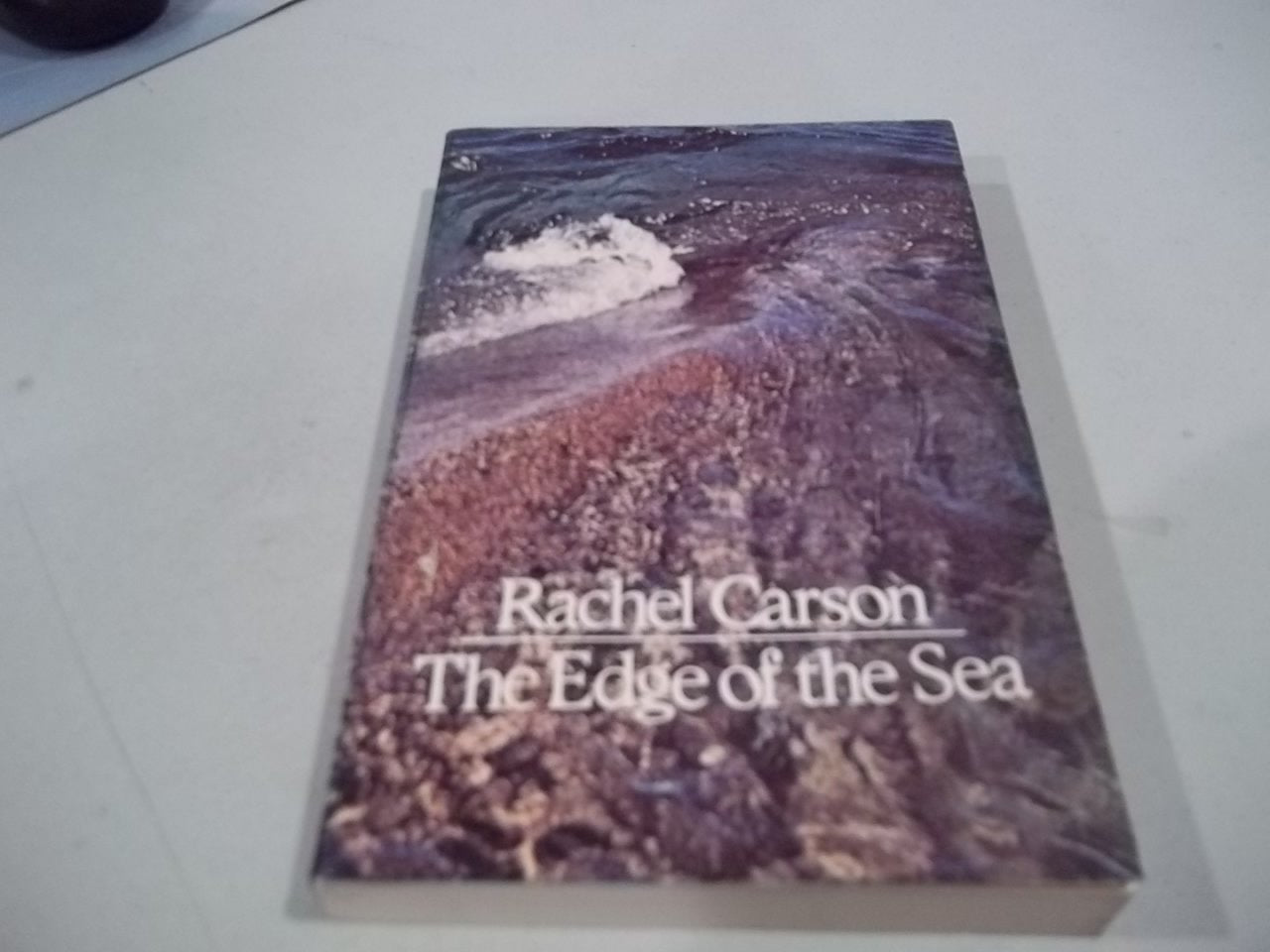 Edge of the Sea book cover