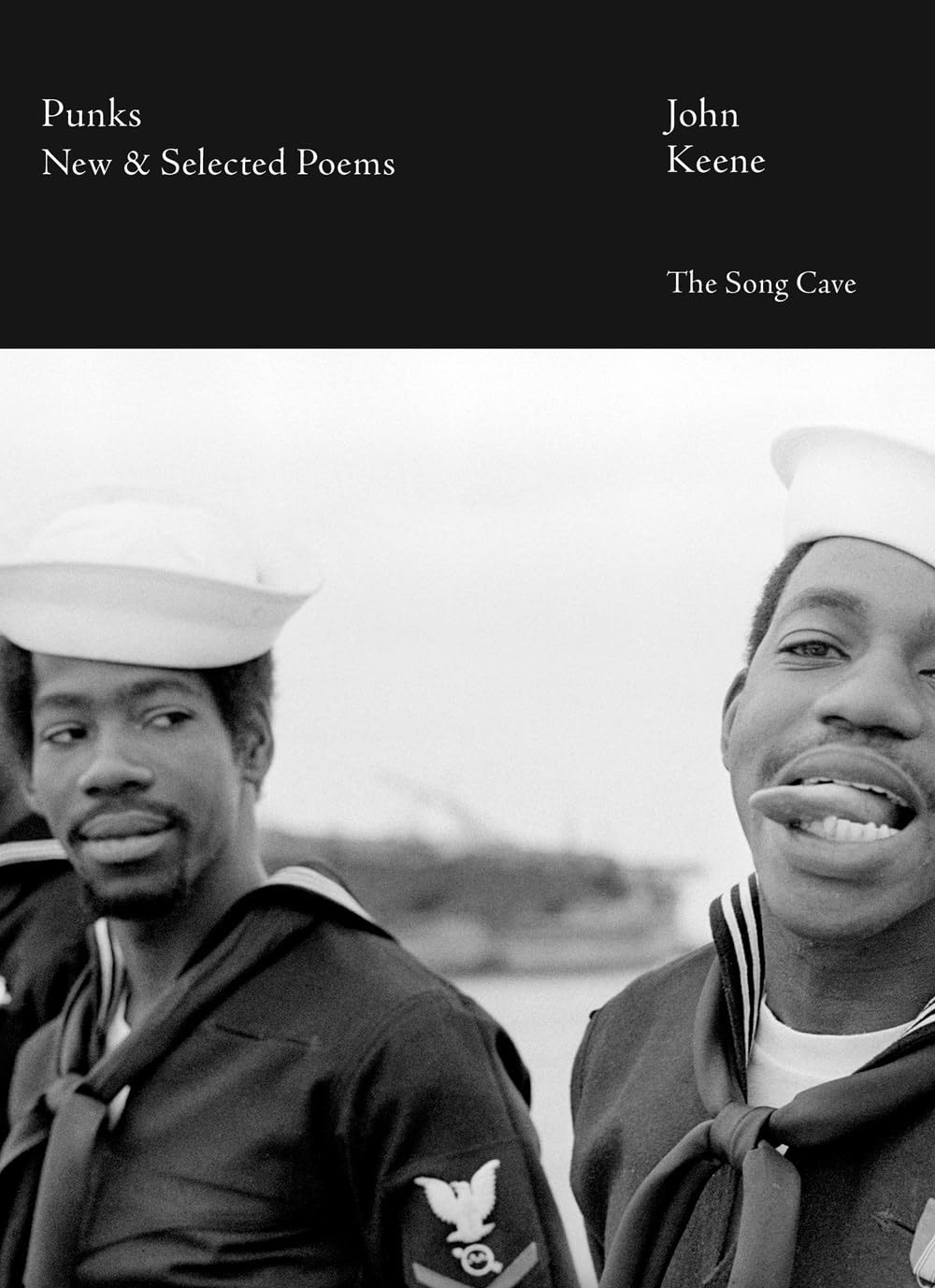 Punks: New & Selected Poems book cover