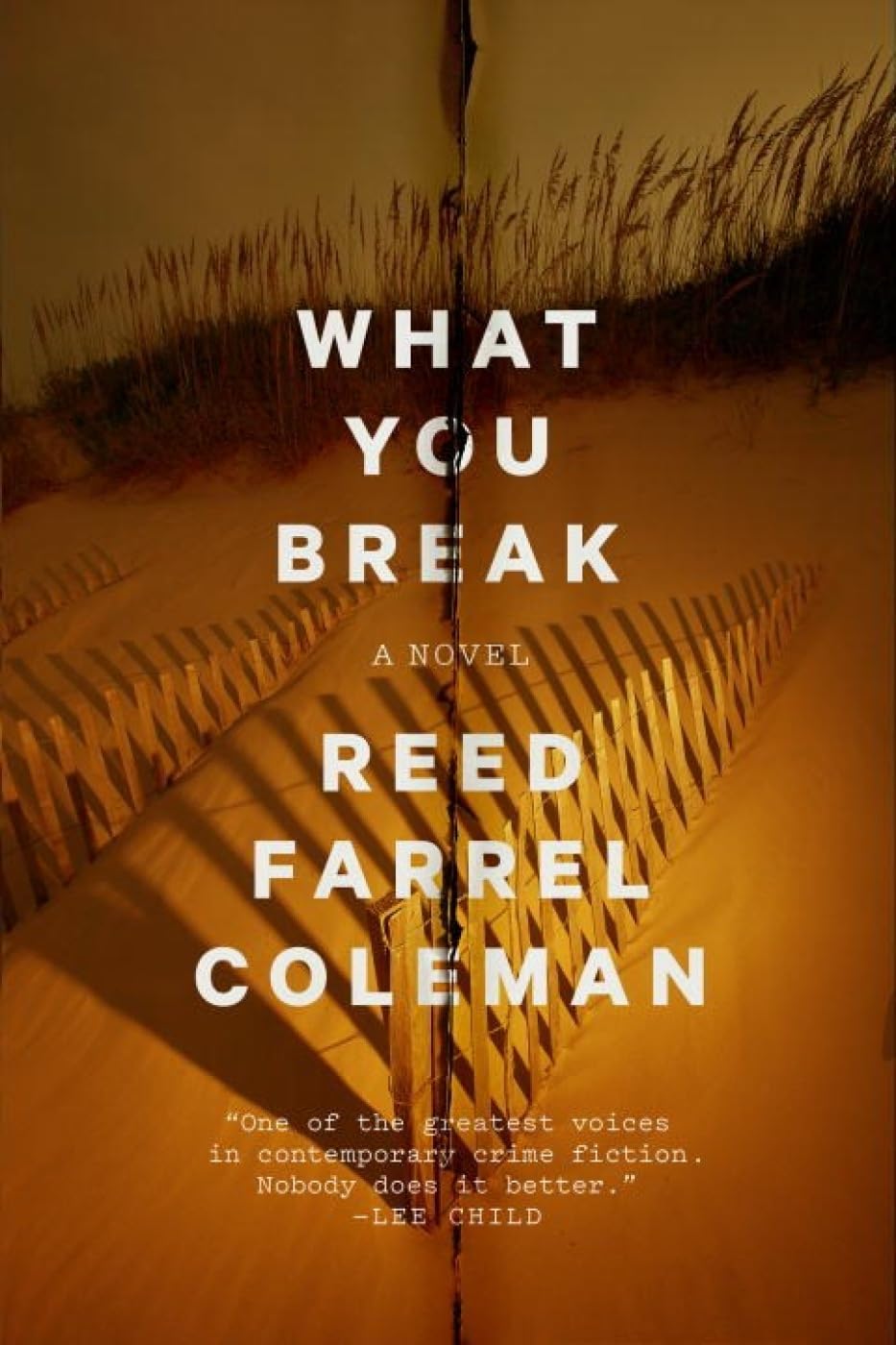 What You Break book cover