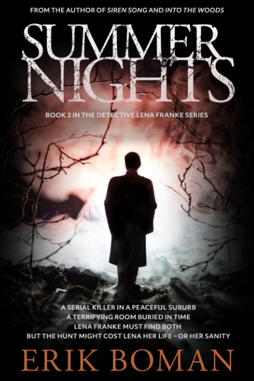 Summer Nights: A Different Scandinavian Crime Novel (Detective Lena Franke Series, Book #2) book cover