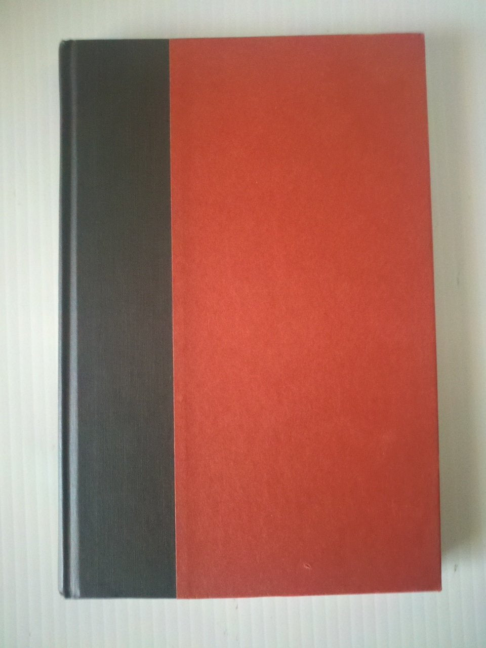 North American Tree Squirrels book cover