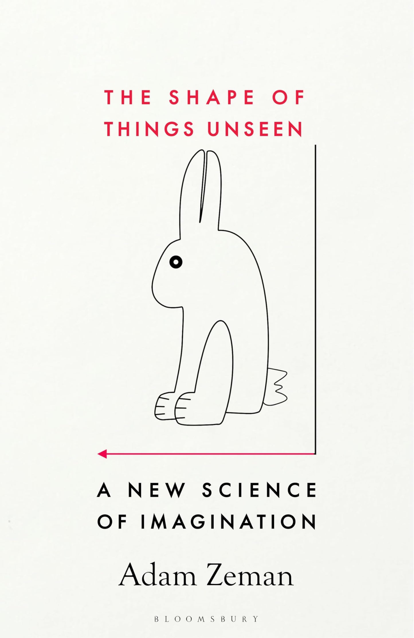 The Shape of Things Unseen book cover