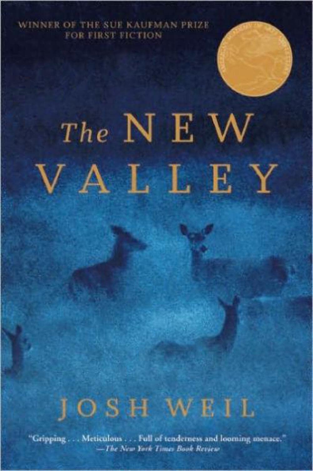 New Valley book cover