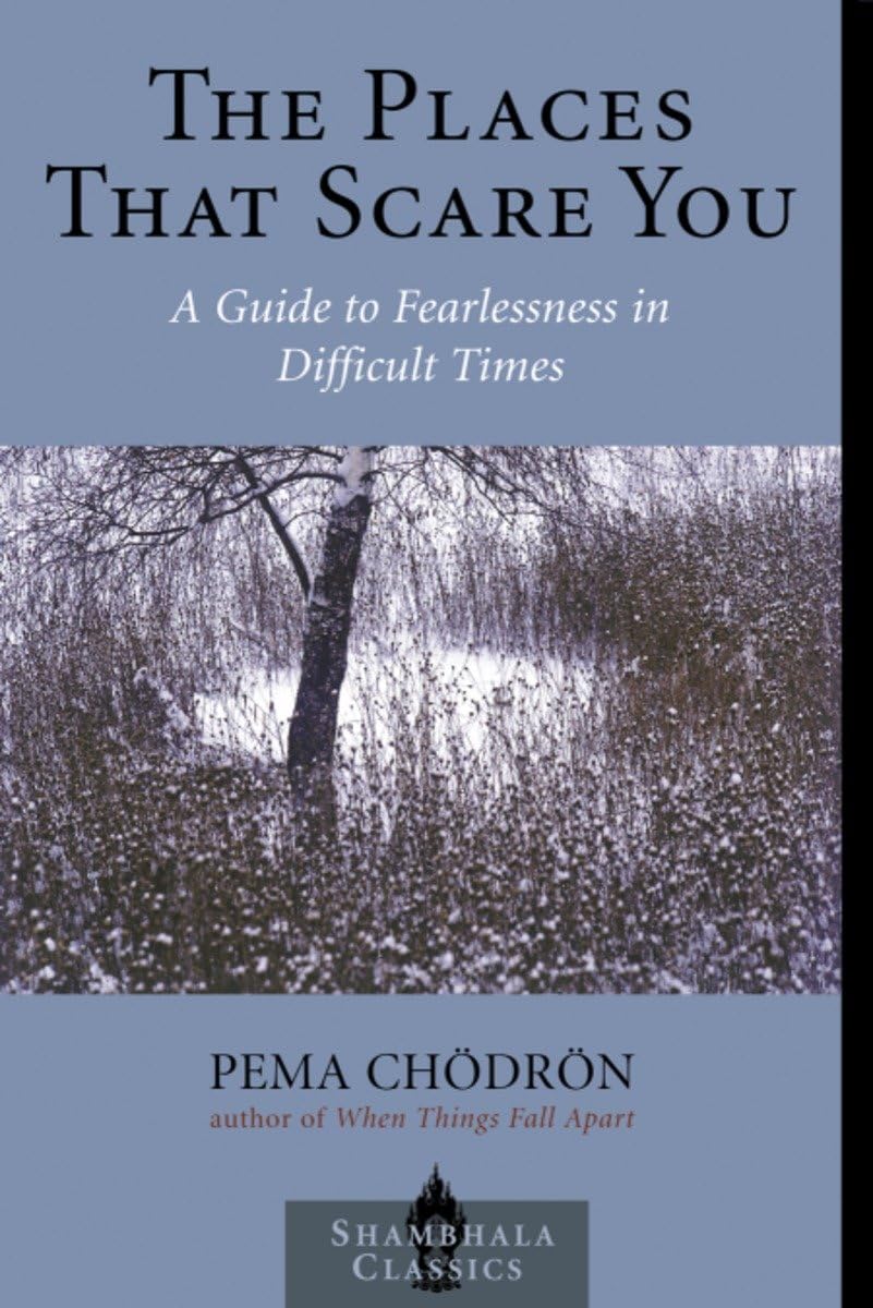 Places That Scare You: A Guide to Fearlessness in Difficult Times book cover
