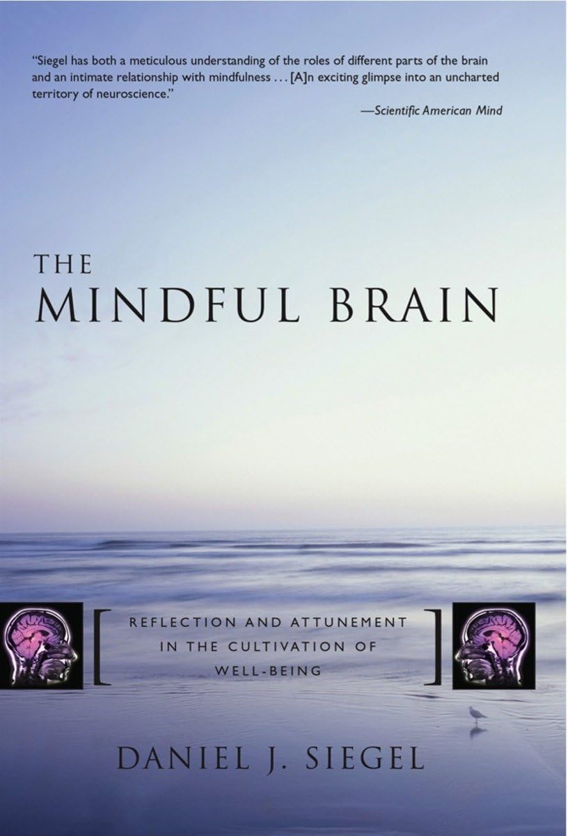 Mindful Brain: Reflection and Attunement in the Cultivation of Well-Being book cover
