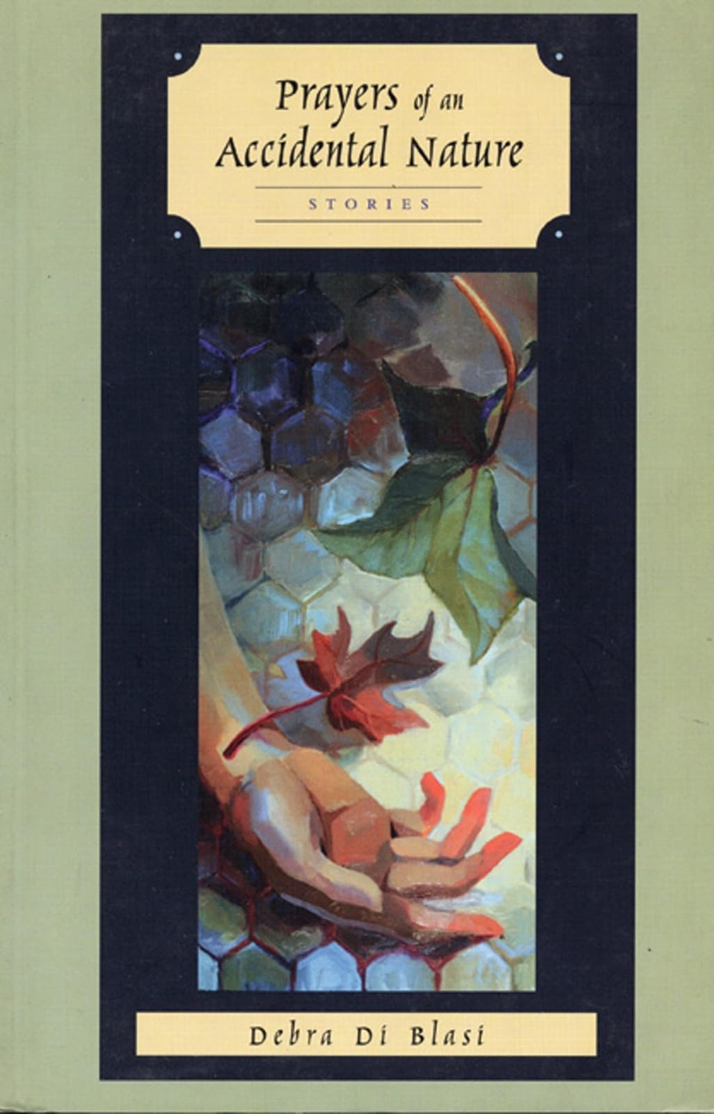 Prayers of an Accidental Nature book cover