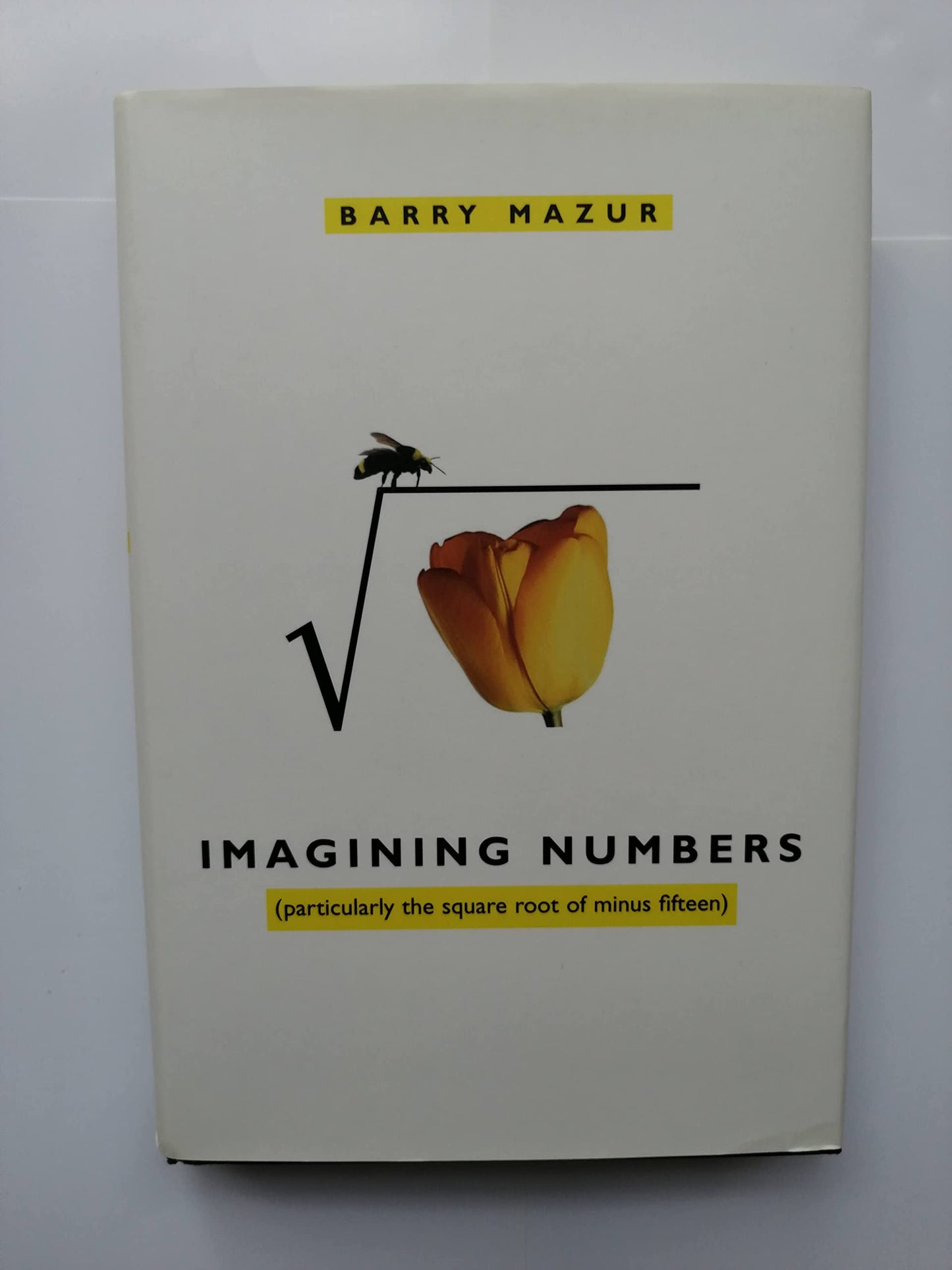 Imagining Numbers: Particularly the Square Root of Minus Fifteen book cover