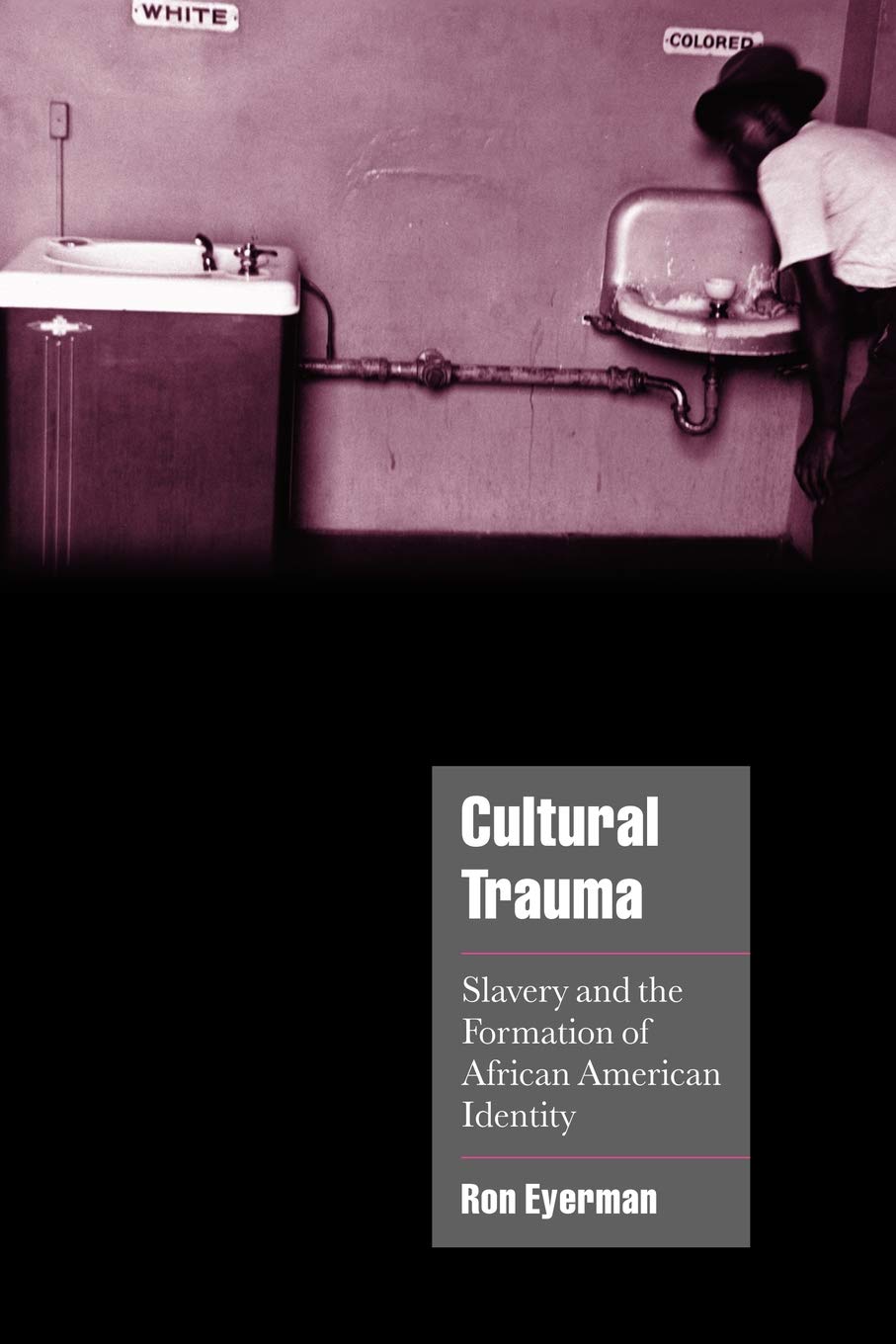 Cultural Trauma: Slavery and the Formation of African American Identity book cover