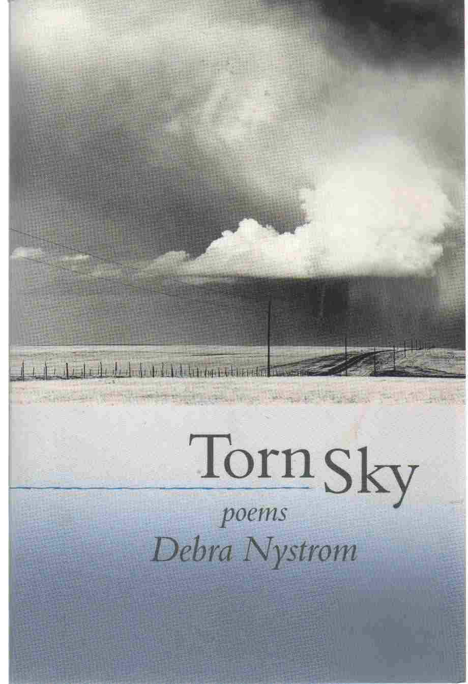 Torn Sky book cover