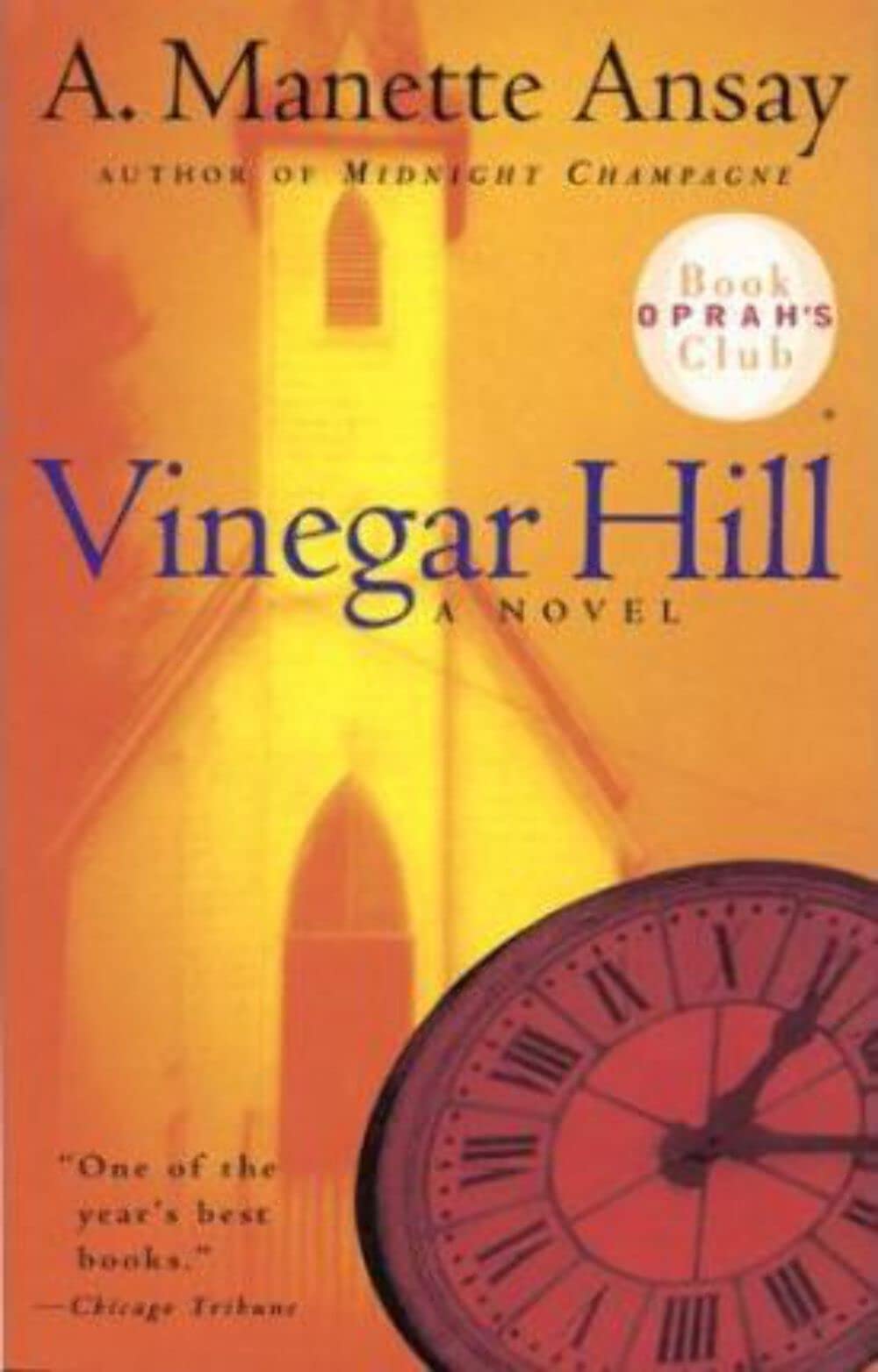 Vinegar Hill book cover