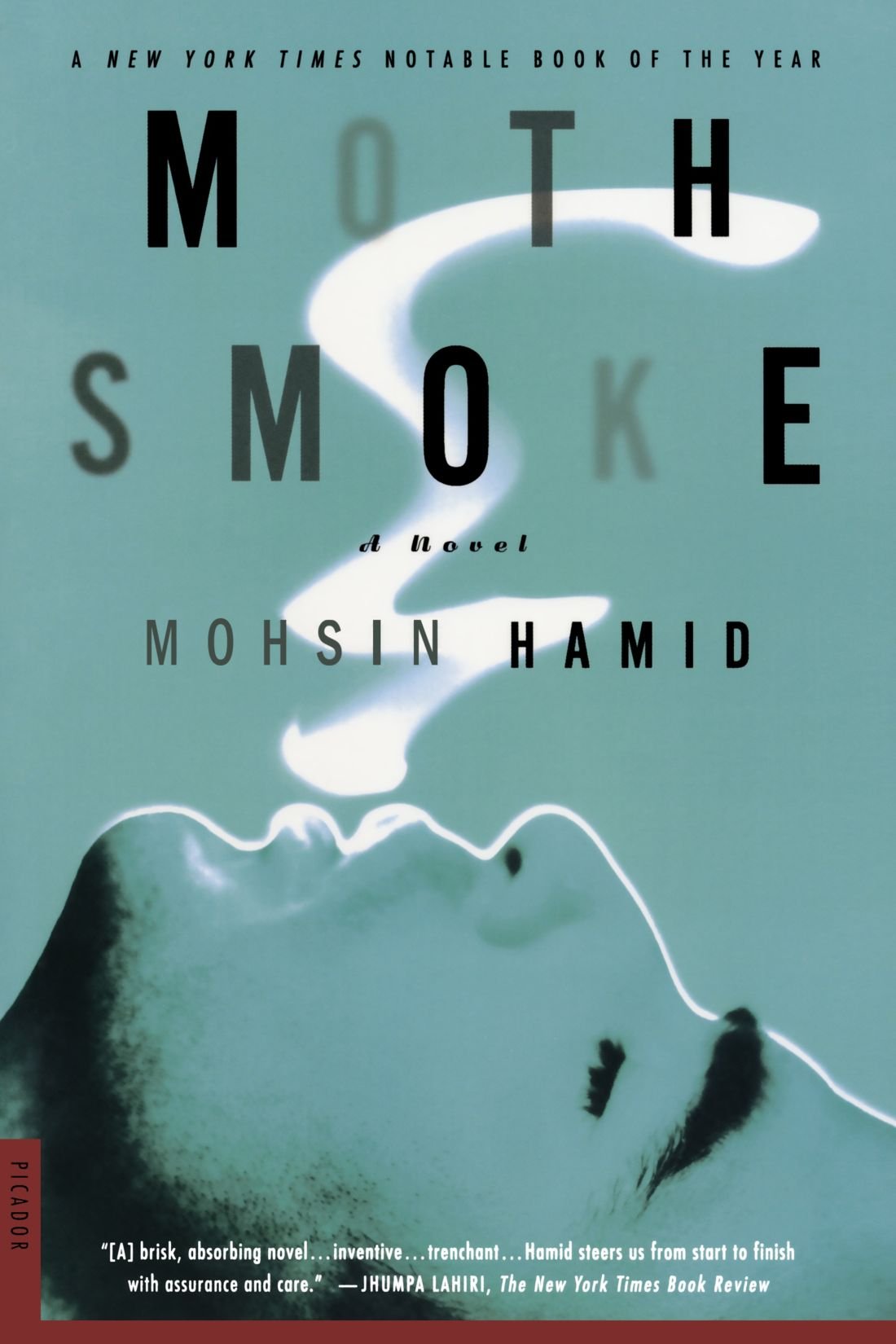 Moth Smoke book cover