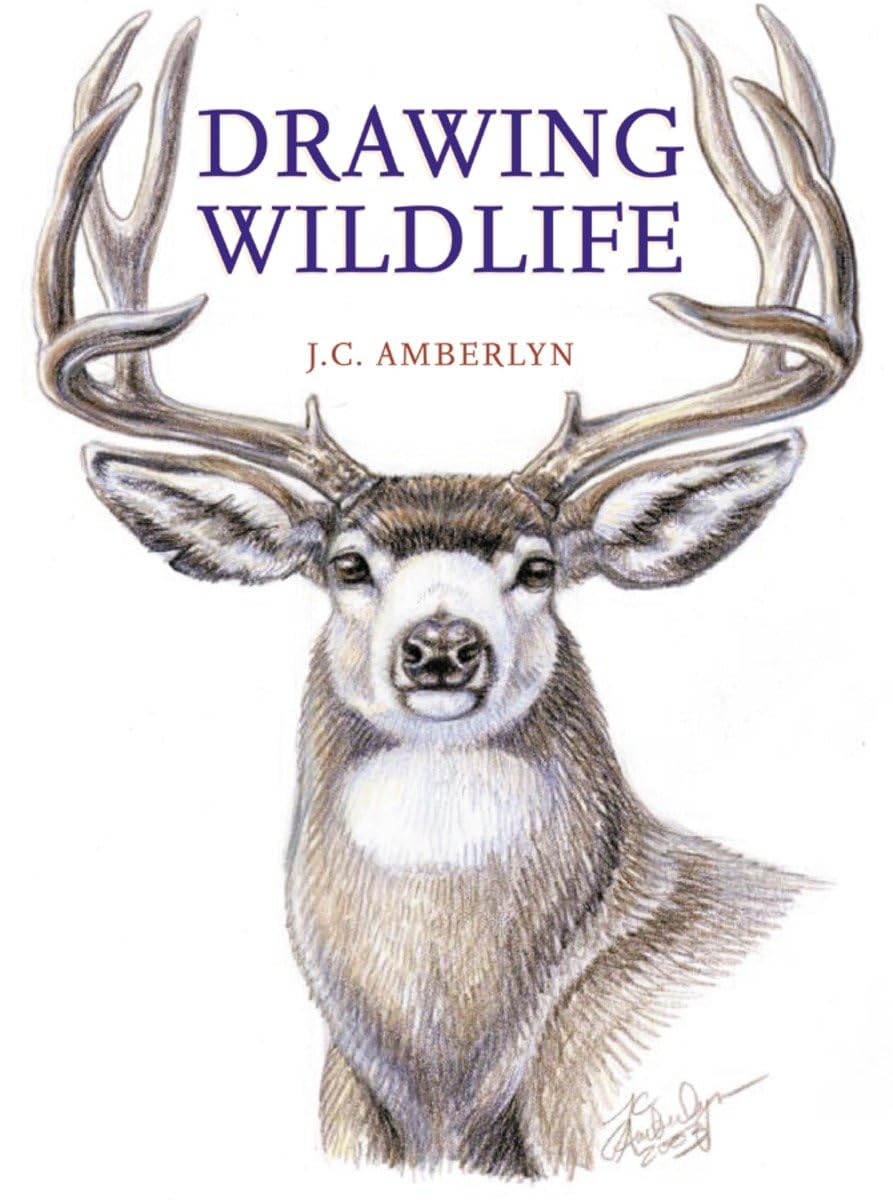 Drawing Wildlife book cover