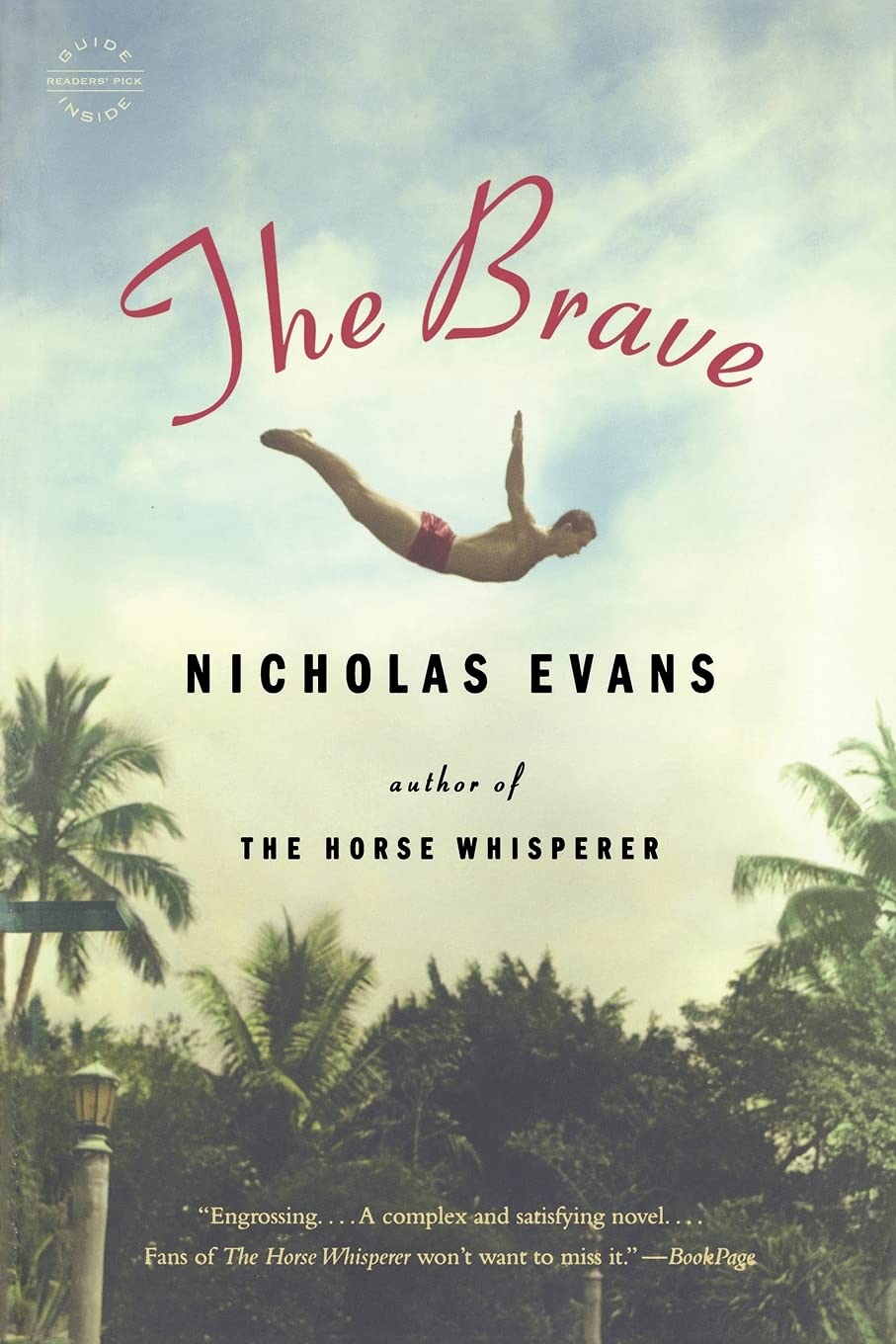 Brave book cover